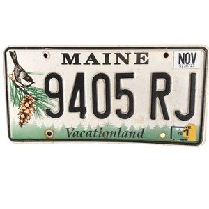 Maine Chickadee Bird Pine Cone Tree License Plate Vacation land 9405 RJ SOUVENIR